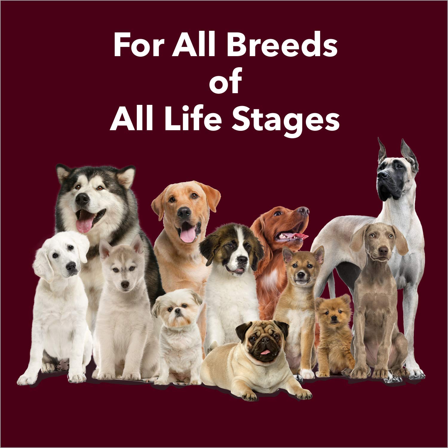 Meat Up Calcium Bone Supplement Dog Treats (240g + 240g) 480g – view 6
