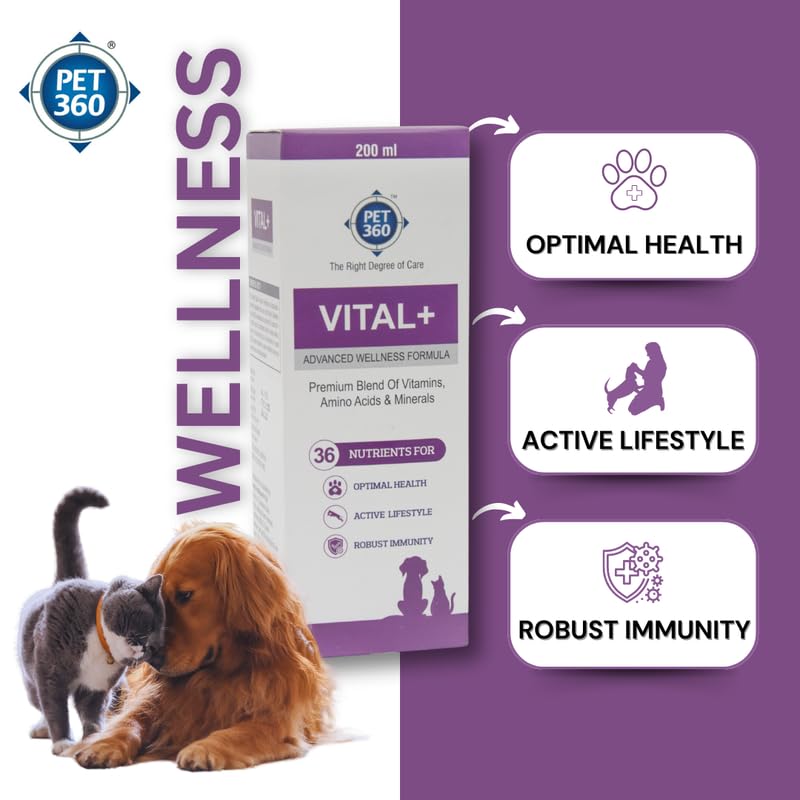 PET360 Vital+ Advanced Wellness Formula – view 4