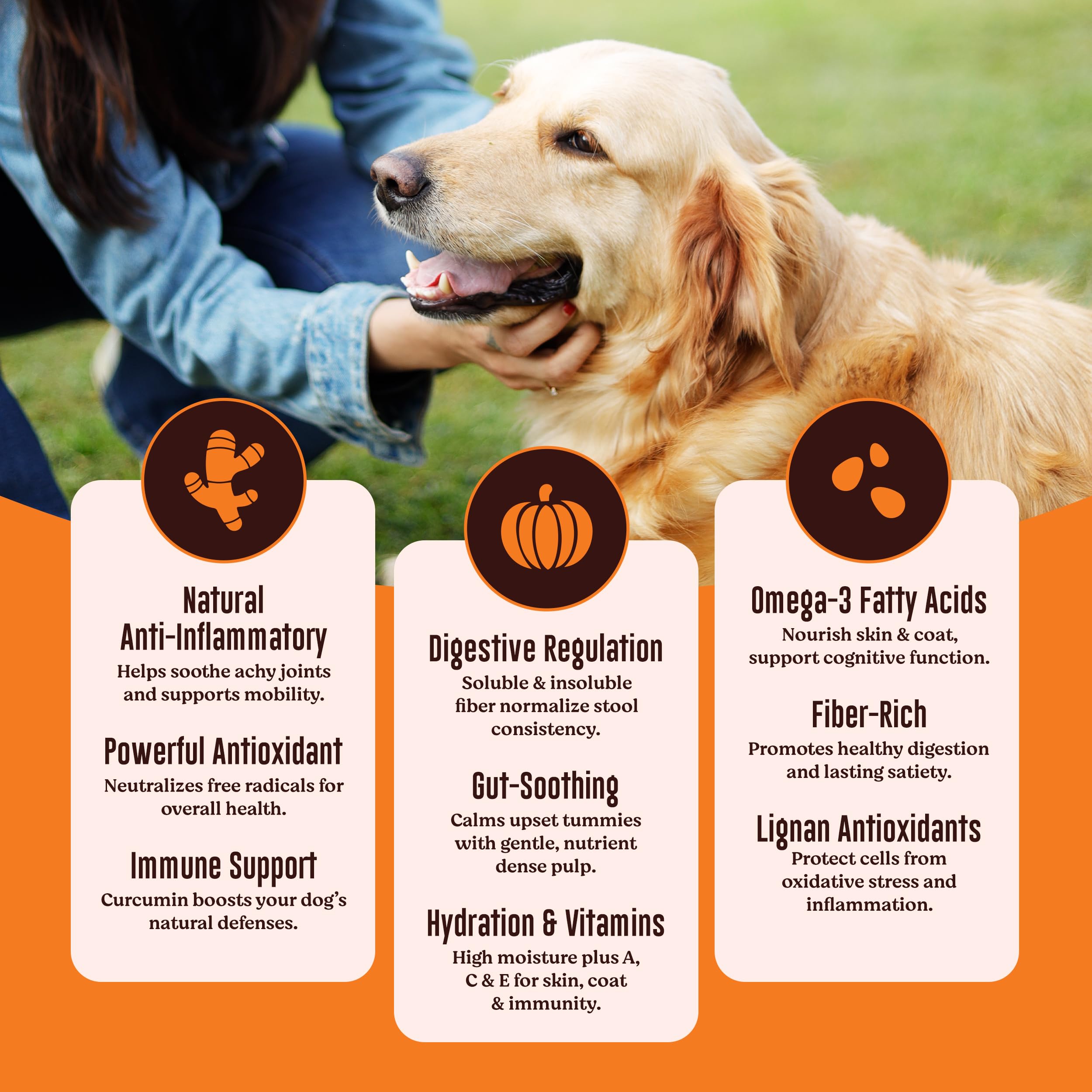 Kennel Kitchen Soft Baked Lamb with Pumpkin Sticks Treats for Dogs, 100g (Pack of 1) – view 6