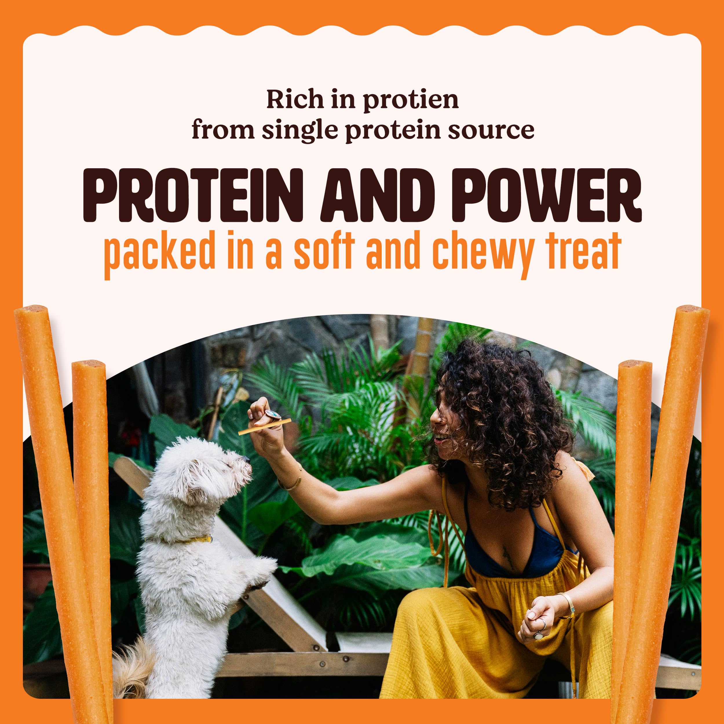 Kennel Kitchen Soft Baked Lamb with Pumpkin Sticks Treats for Dogs, 100g (Pack of 1) – view 7