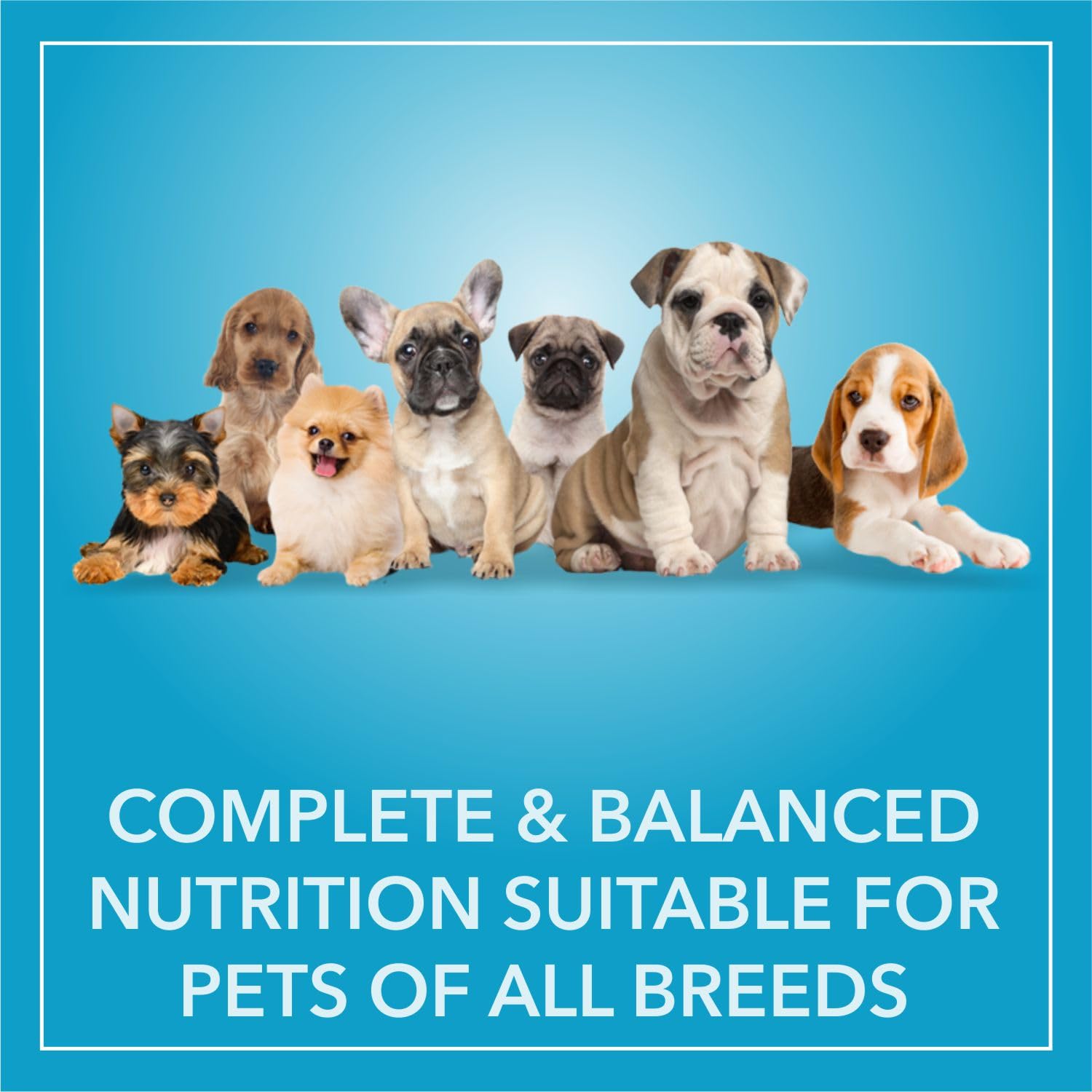 Purepet Puppy Dry Dog Food 1kg – view 4