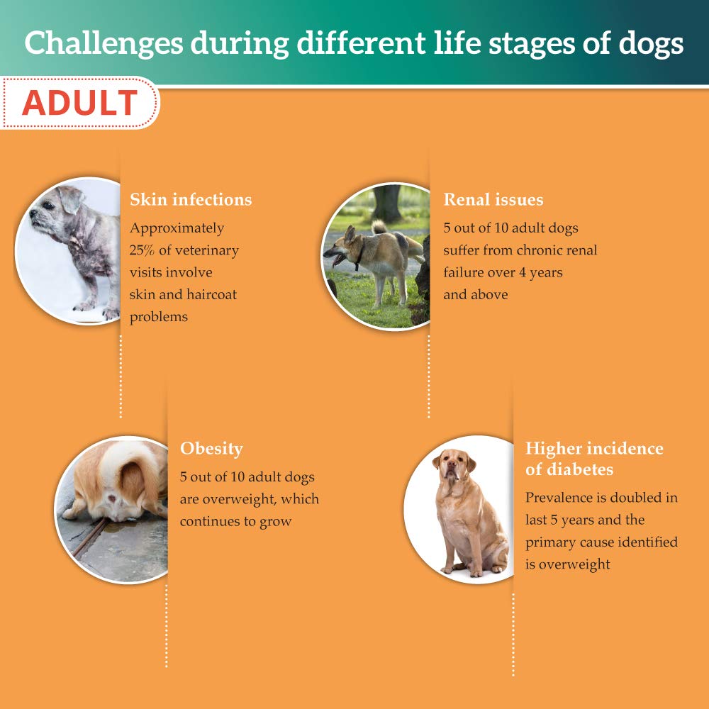 Himalaya Healthy PET Food for Adult Dogs – view 5