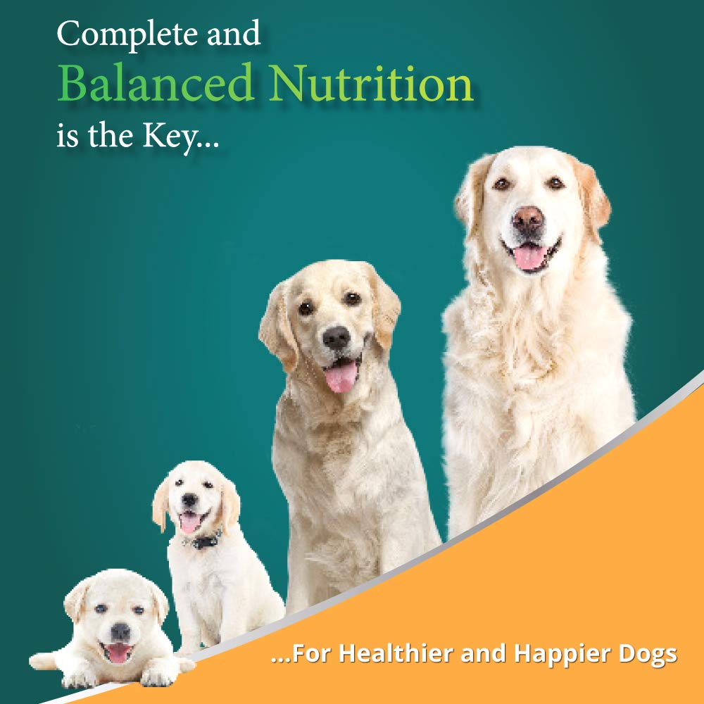Himalaya Healthy PET Food for Adult Dogs – view 6
