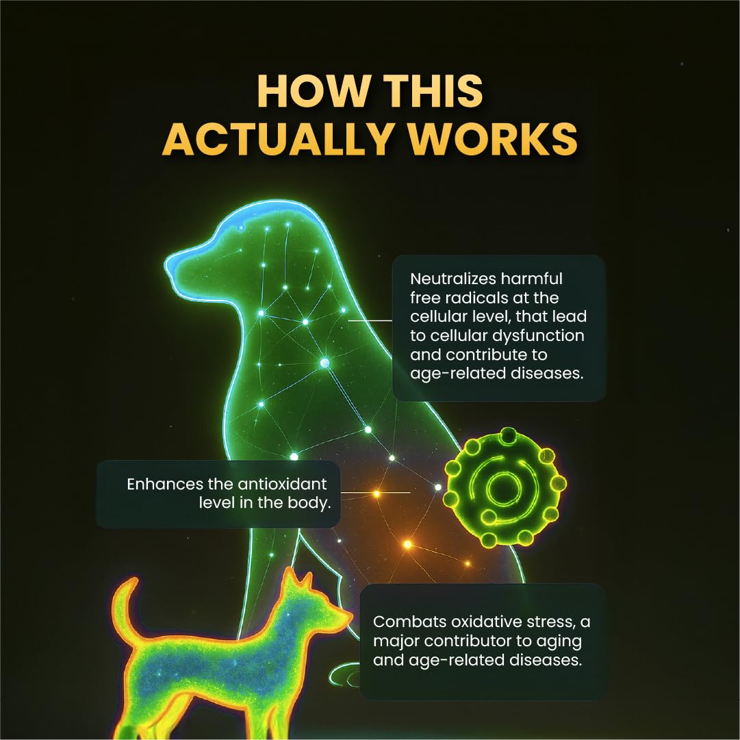 FUR BALL STORY Supertonic Multivitamin Syrup for Dogs & Cats – view 4