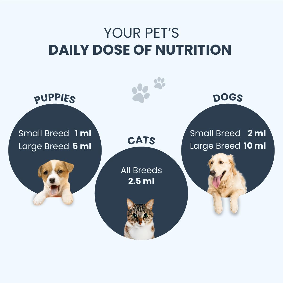 FUR BALL STORY Supertonic Multivitamin Syrup for Dogs & Cats – view 7