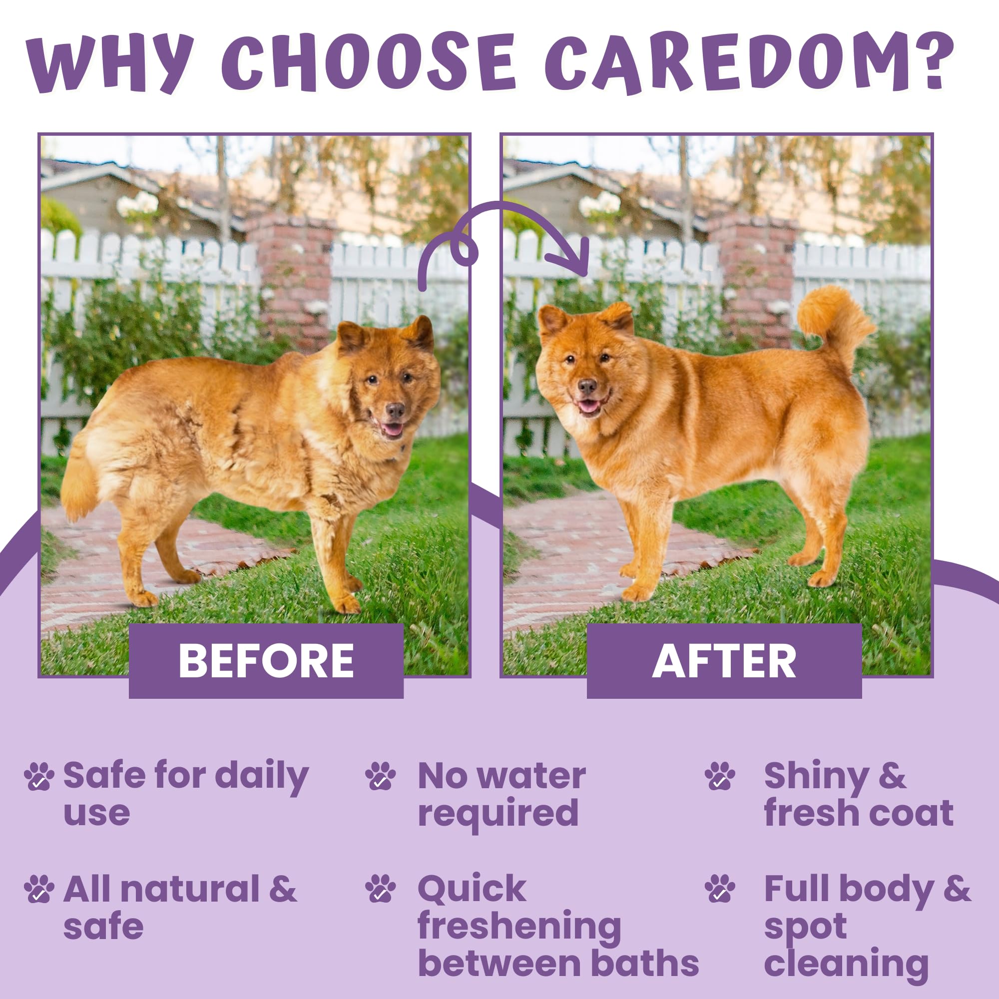 Caredom Dry Shampoo for Dogs & Cats – view 5