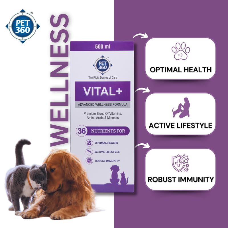 PET360 Vital+ Advanced Wellness Formula – view 4