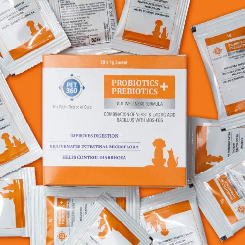 PET360 PROBIOTICS + PREBIOTICS Gut Wellness Formula for Dogs & Cats – view 2