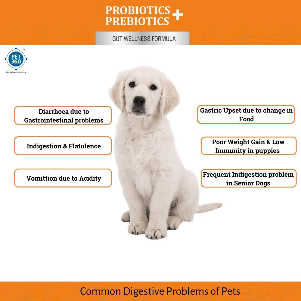 PET360 PROBIOTICS + PREBIOTICS Gut Wellness Formula for Dogs & Cats – view 3