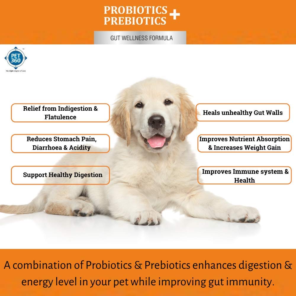 PET360 PROBIOTICS + PREBIOTICS Gut Wellness Formula for Dogs & Cats – view 4