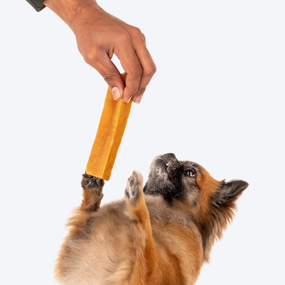Yakies by HUFT Vegetarian Natural Dog Chew Bone – 25 gm Each – view 6