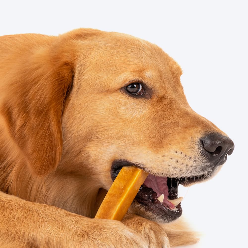 Yakies by HUFT Vegetarian Natural Dog Chew Bone – 25 gm Each – view 7