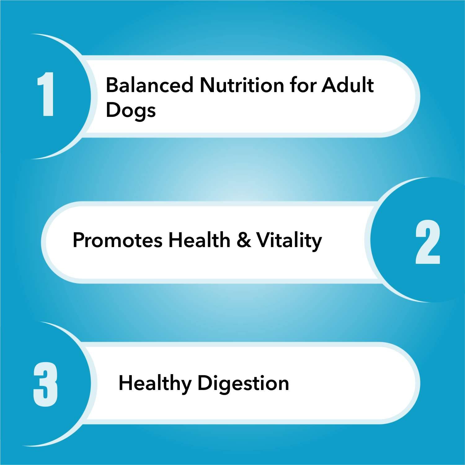 Purepet Adult Dry Dog Food 1kg – view 2
