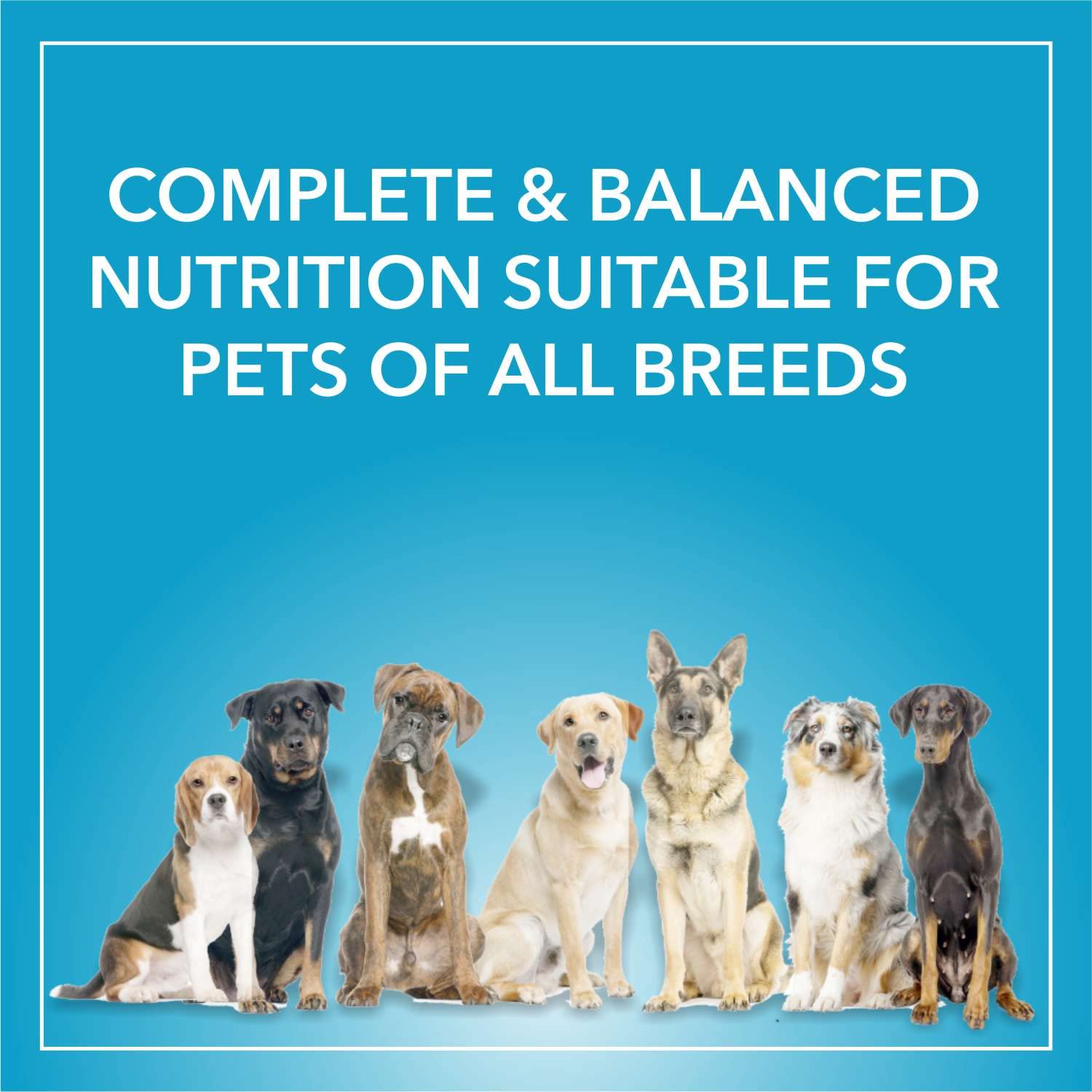 Purepet Adult Dry Dog Food 1kg – view 3