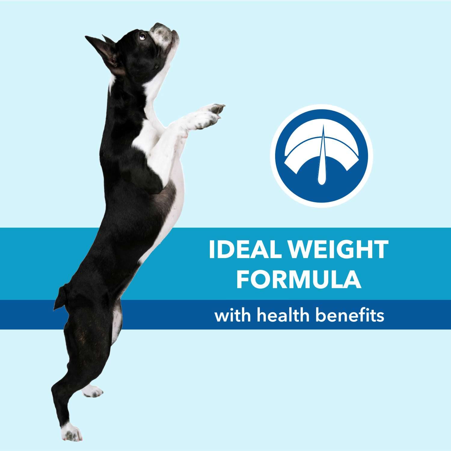 Purepet Adult Dry Dog Food 1kg – view 5