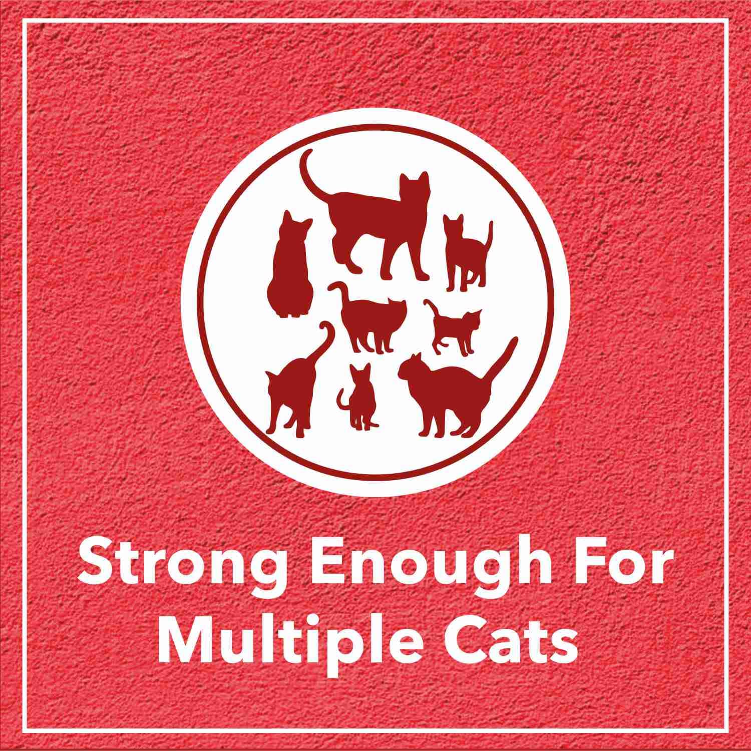Drools Cat Litter for Multiple Breeds 5kg – view 6