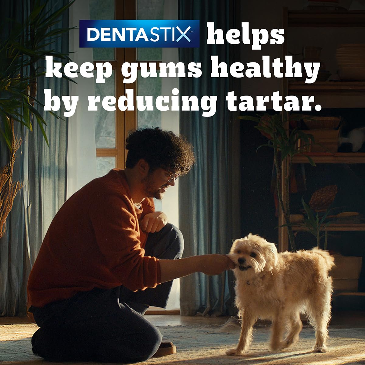 Pedigree Dentastix Oral Care Dog Treat, Adult Medium Breed (10-25 kg), 720 g, Recommended by Vets, Supports Gum Health, Reduces Risk of Gum diseases – view 3