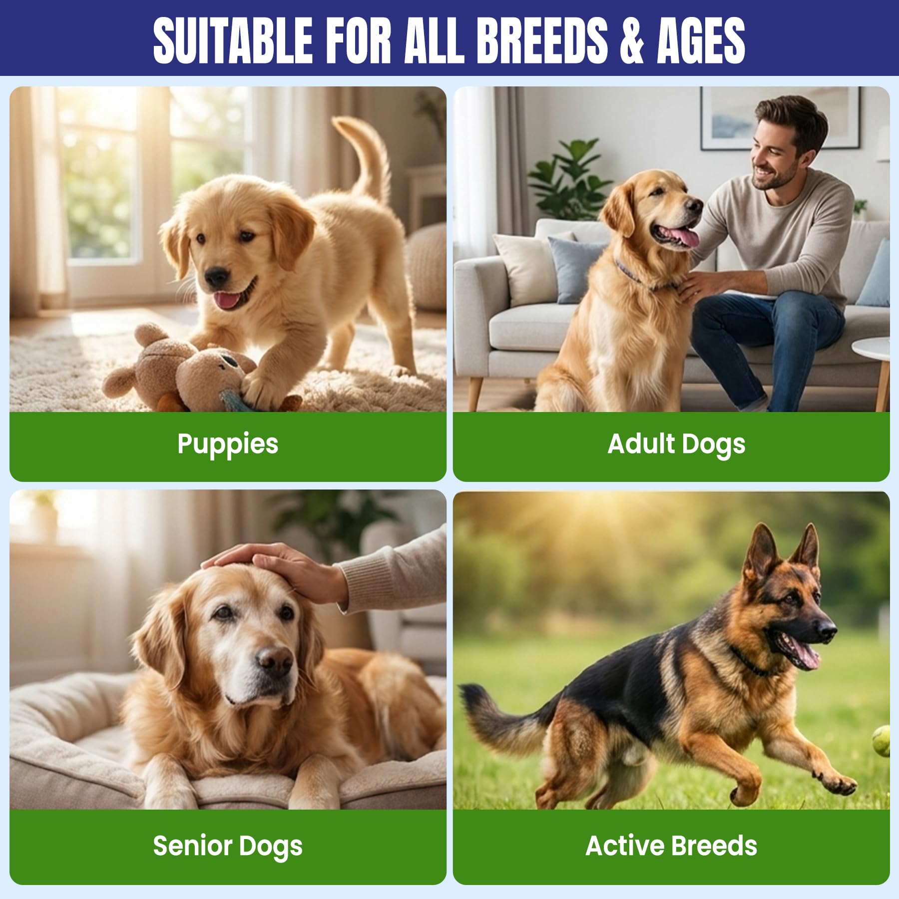 Medfly Healthcare Defender Pro Deworming Tablet for Dogs of All Life Stages (Pack of 1) – view 6