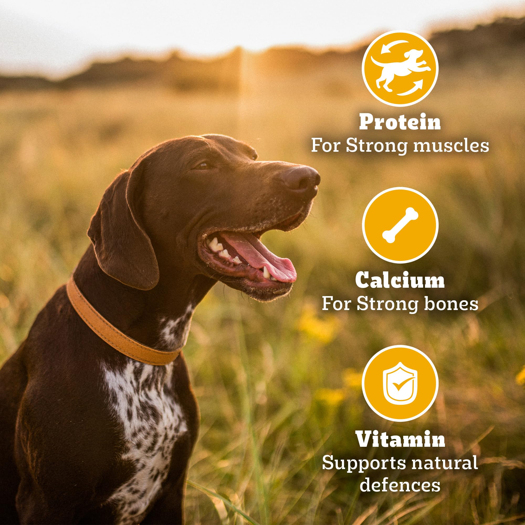 Pedigree Biscrok Biscuits (Above 4 Months) Dog Treats, Chicken with Milk Flavour, 500 g, Source of Calcium, Goodness of 15% Protein – view 4