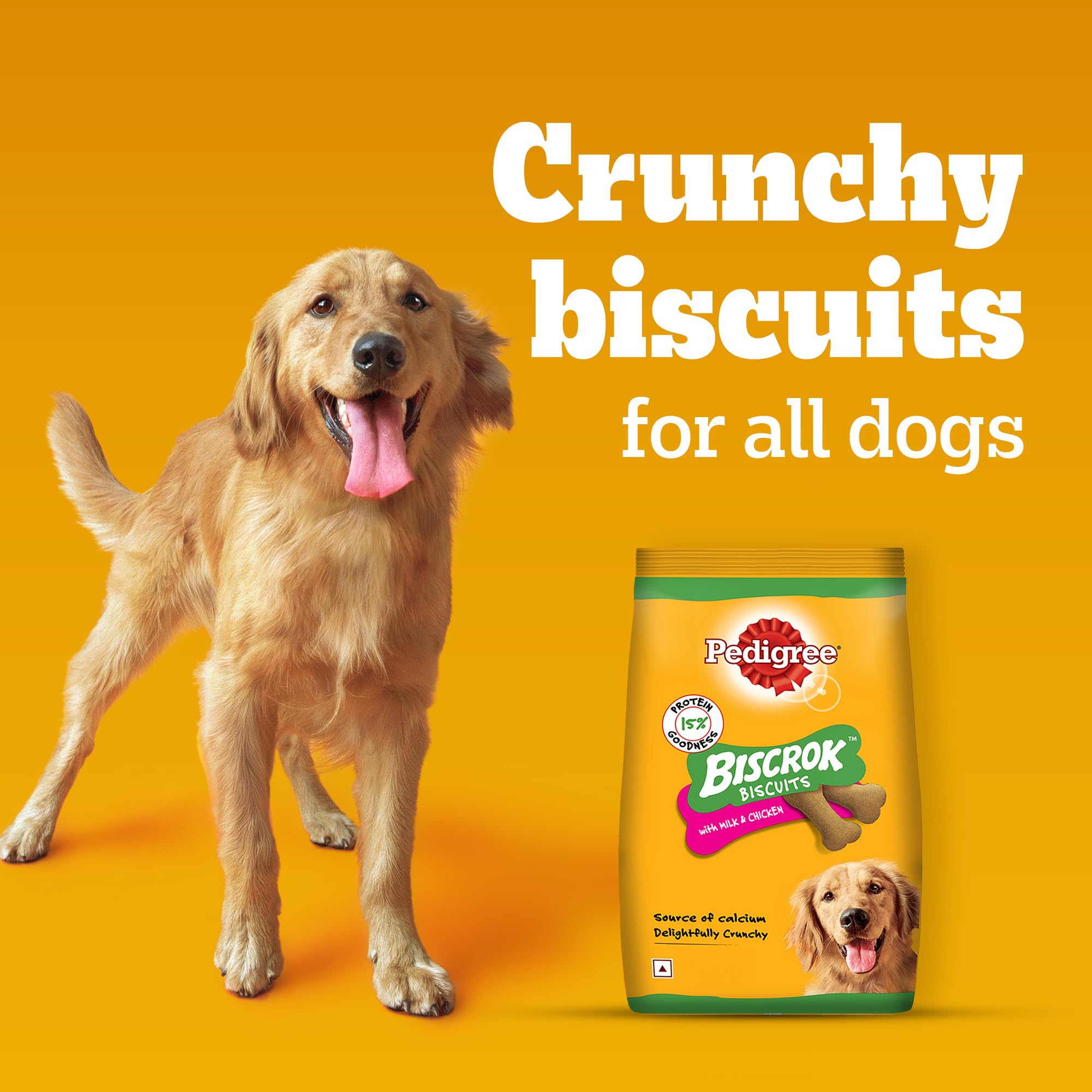 Pedigree Biscrok Biscuits (Above 4 Months) Dog Treats, Chicken with Milk Flavour, 500 g, Source of Calcium, Goodness of 15% Protein – view 9