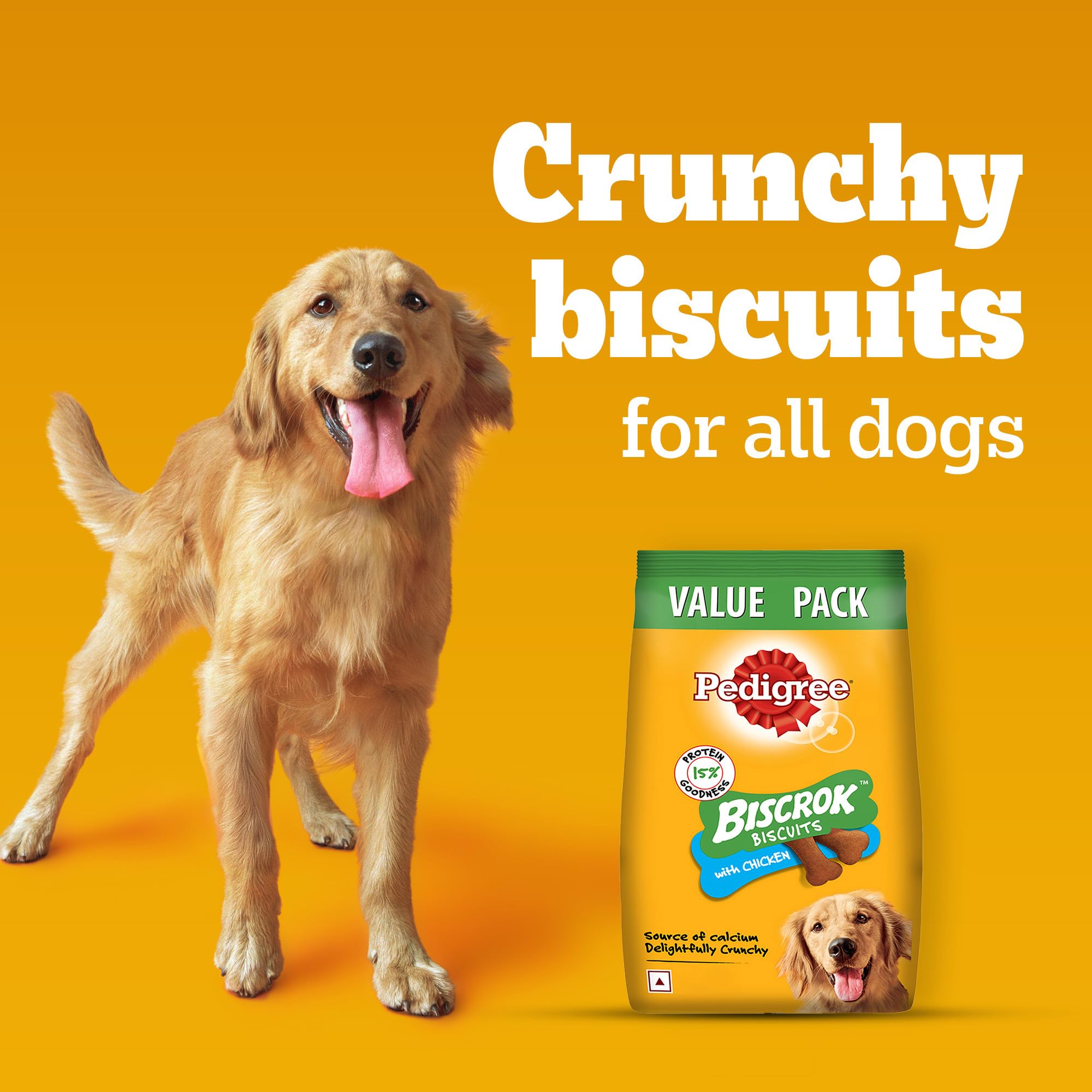 Pedigree Biscrok Biscuits (Above 4 Months) Dog Treats, Chicken Flavour, 900 g, Source of Calcium, Goodness of 15% Protein – view 9