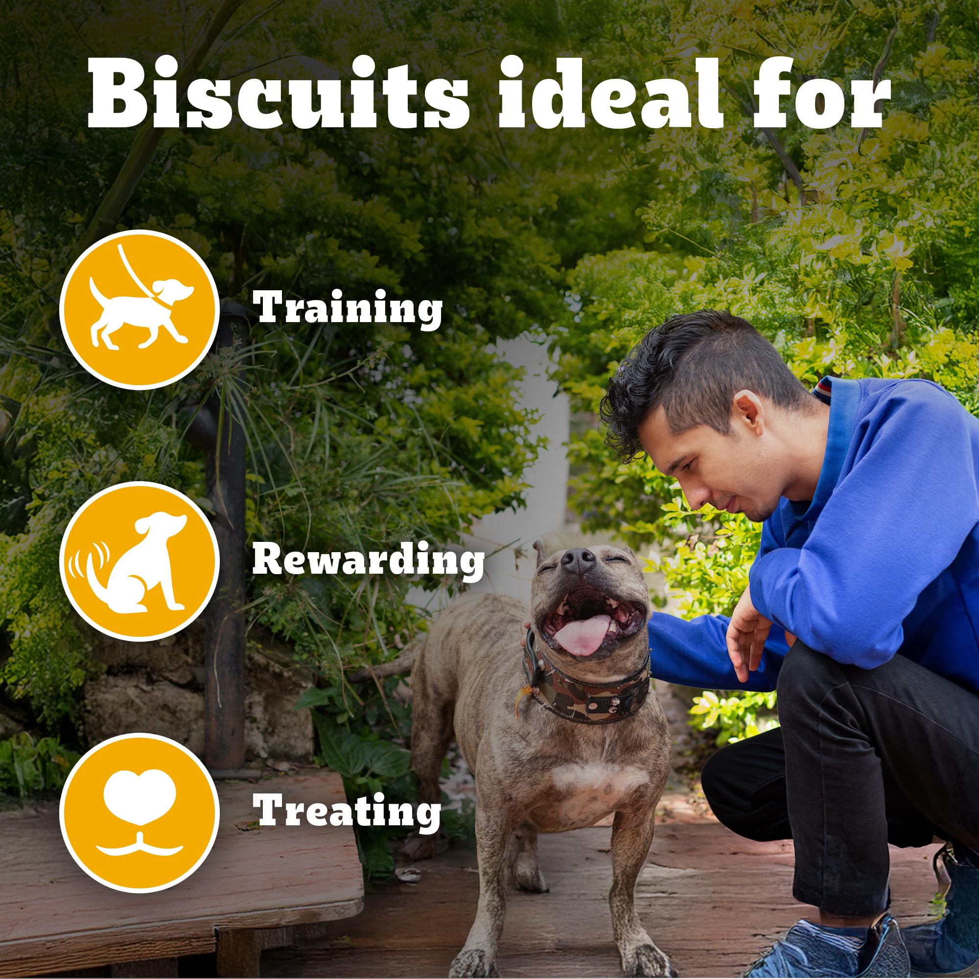 Pedigree Biscrok Biscuits (Above 4 Months) Dog Treats, Lamb Flavour, 500 g, Source of Calcium, Goodness of 15% Protein – view 3