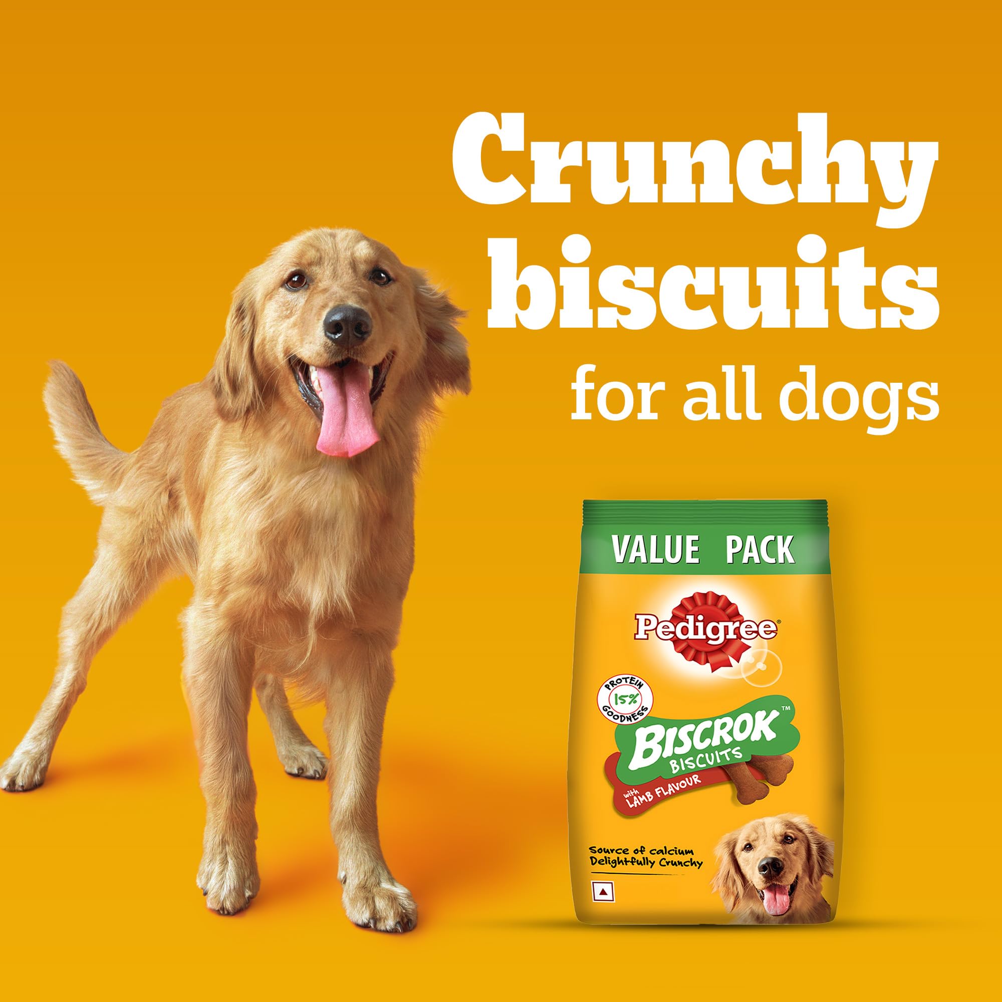 Pedigree Biscrok Biscuits (Above 4 Months) Dog Treats, Lamb Flavour, 500 g, Source of Calcium, Goodness of 15% Protein – view 9