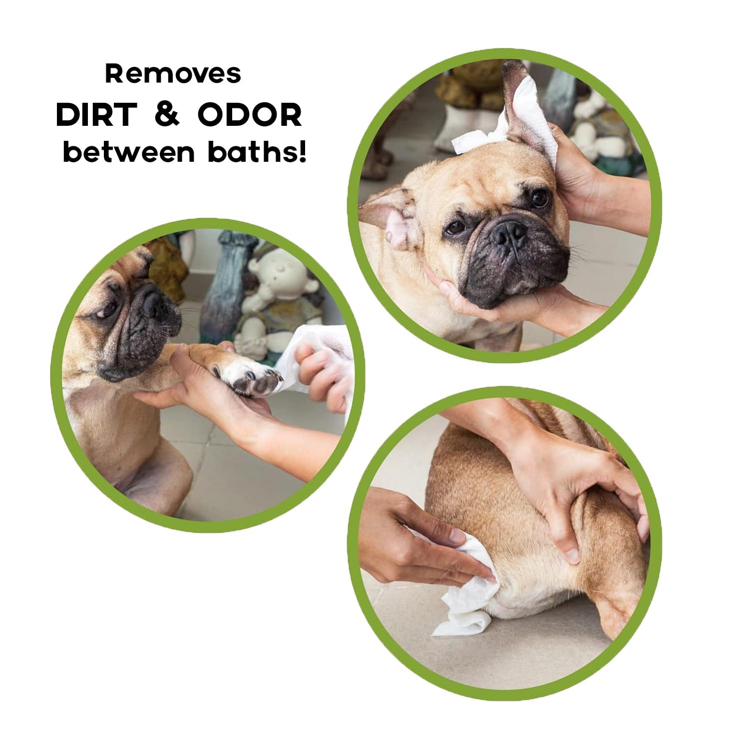 Cature Care by Nature Biodegradable Pet Wipes - Aloe Vera & Neem, Gentle & Effective Cleaning for Pets (100 Wipes) – view 4