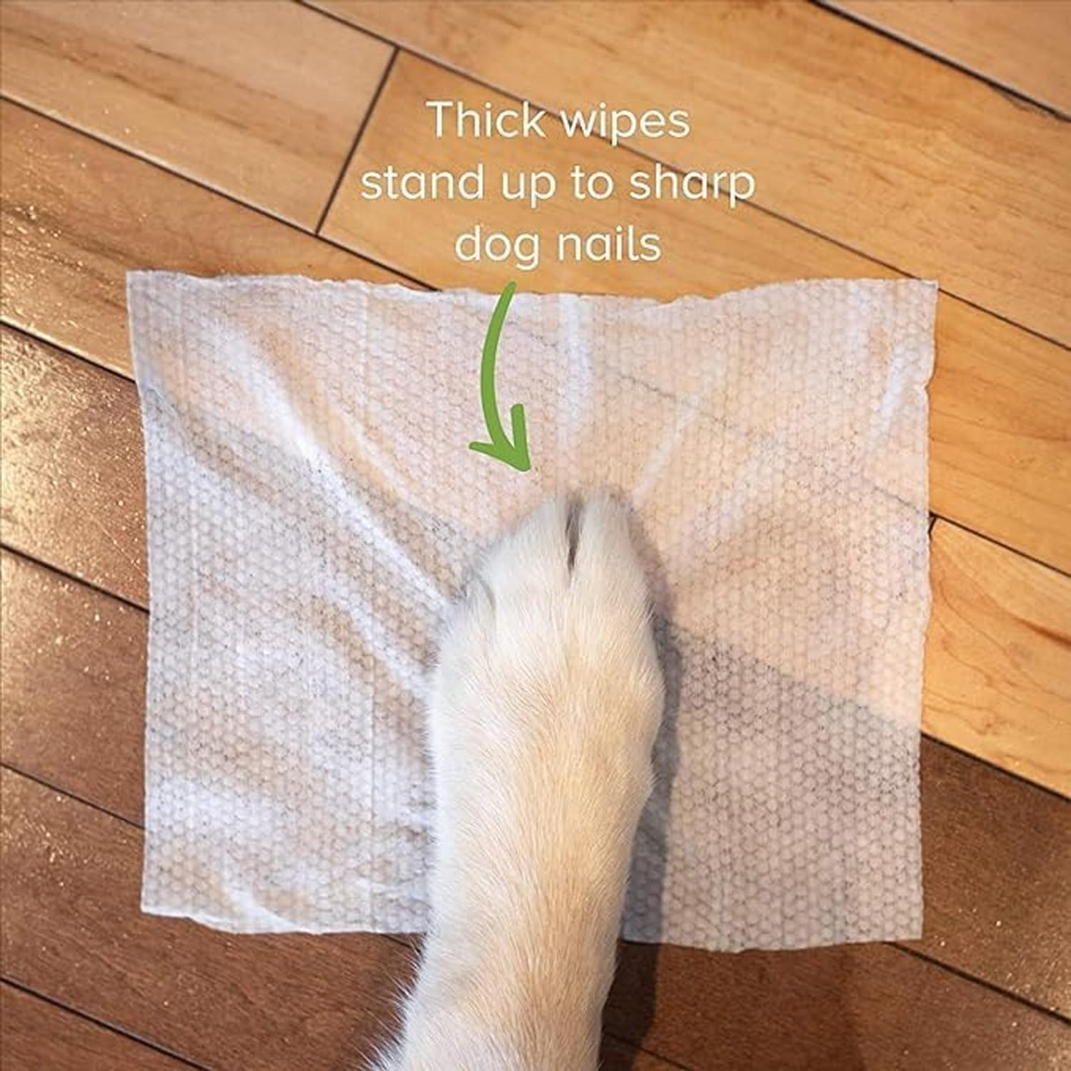 Cature Care by Nature Biodegradable Pet Wipes - Aloe Vera & Neem, Gentle & Effective Cleaning for Pets (100 Wipes) – view 6