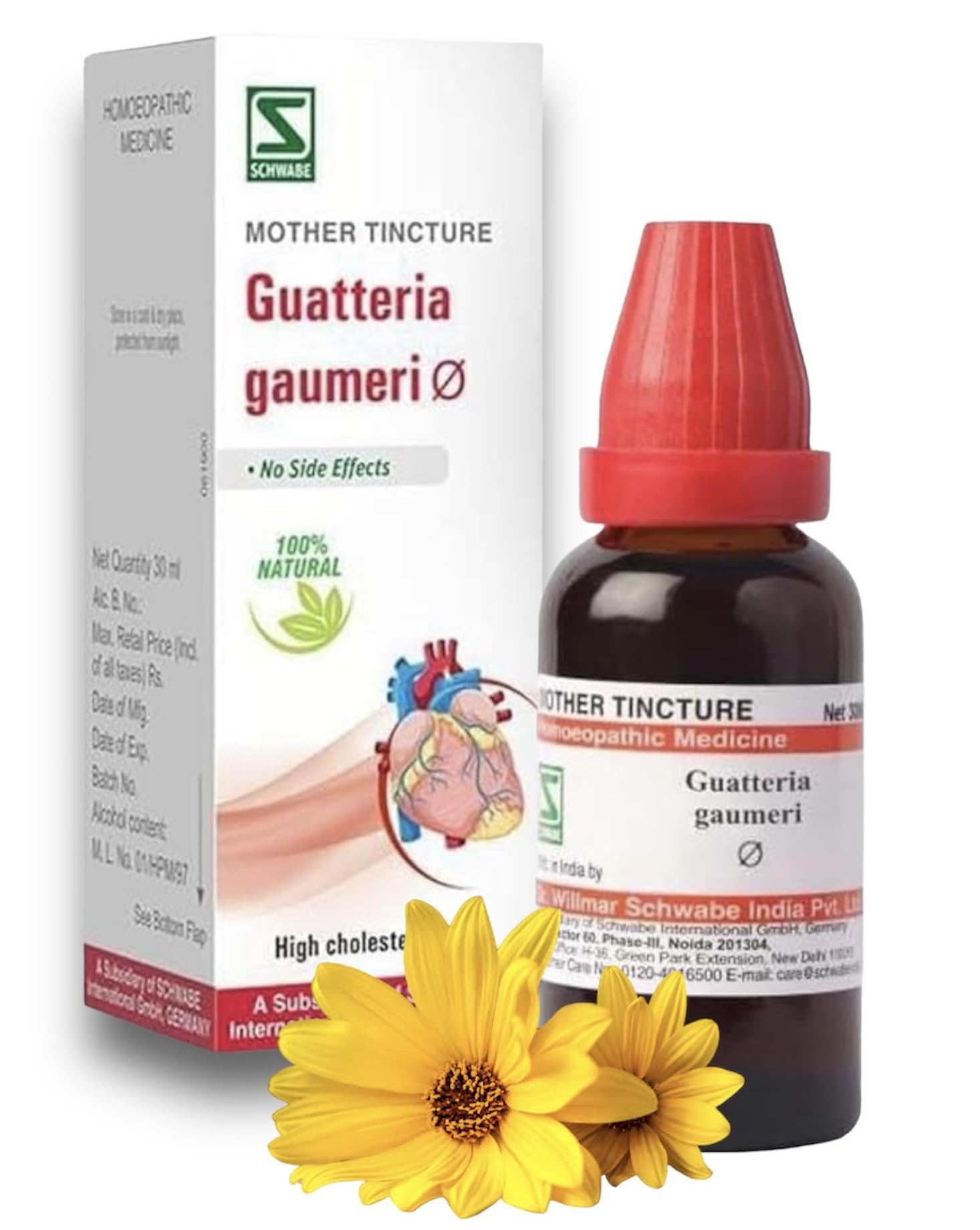 Willmar Schwabe Guatteria Gaumeri Q Mother Tincture - Homeopathy Medicine- 30ml – view 2