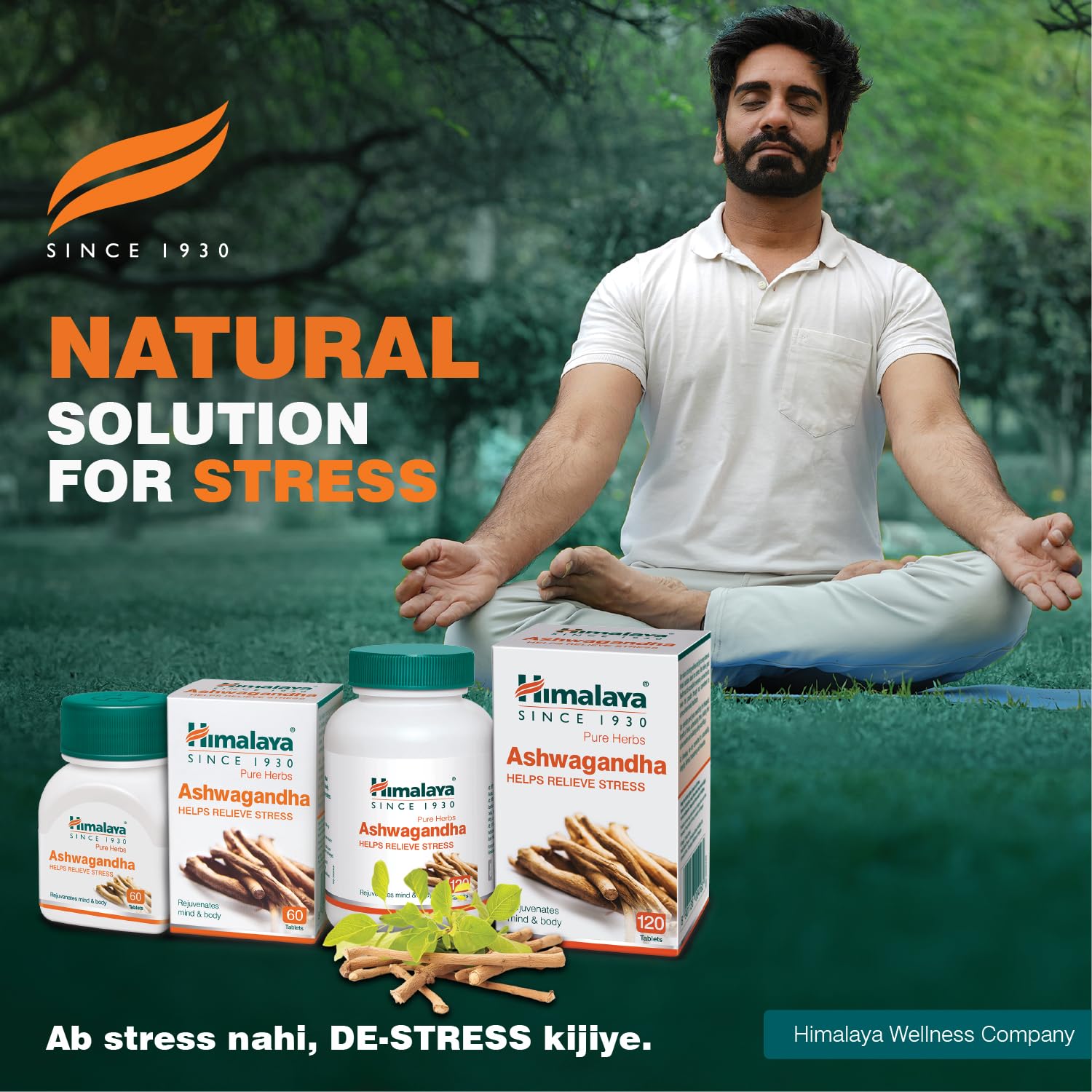Himalaya Ashwagandha 120 Tablets – view 2