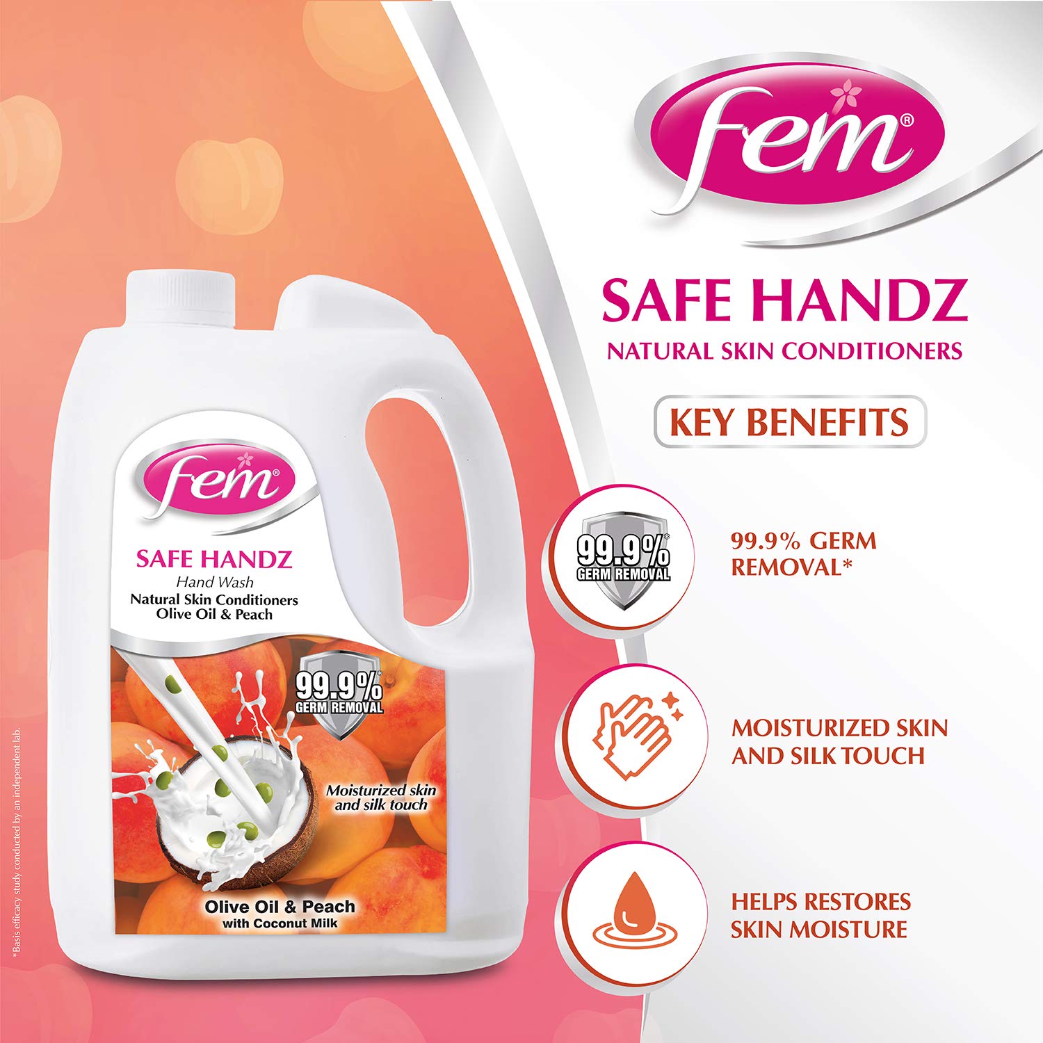 Fem Safe Handz Handwash Kills Germs Enriched With The Goodness Of Peach And Olive Oil Liquid Soap Refill Pack - 5 L – view 3