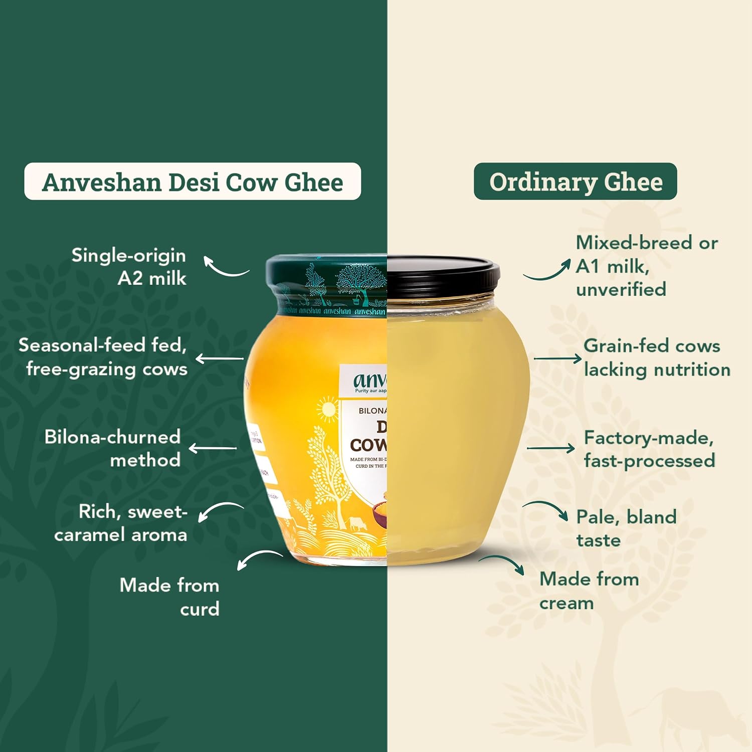 Anveshan A2 Cow Ghee 500 ml, Bilona Ghee – view 4