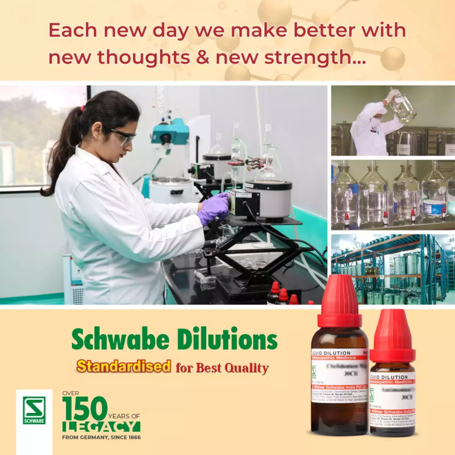 Dr Willmar Schwabe India Magnesium Carbonicum Dilution 30 CH (30 ml) – view 4