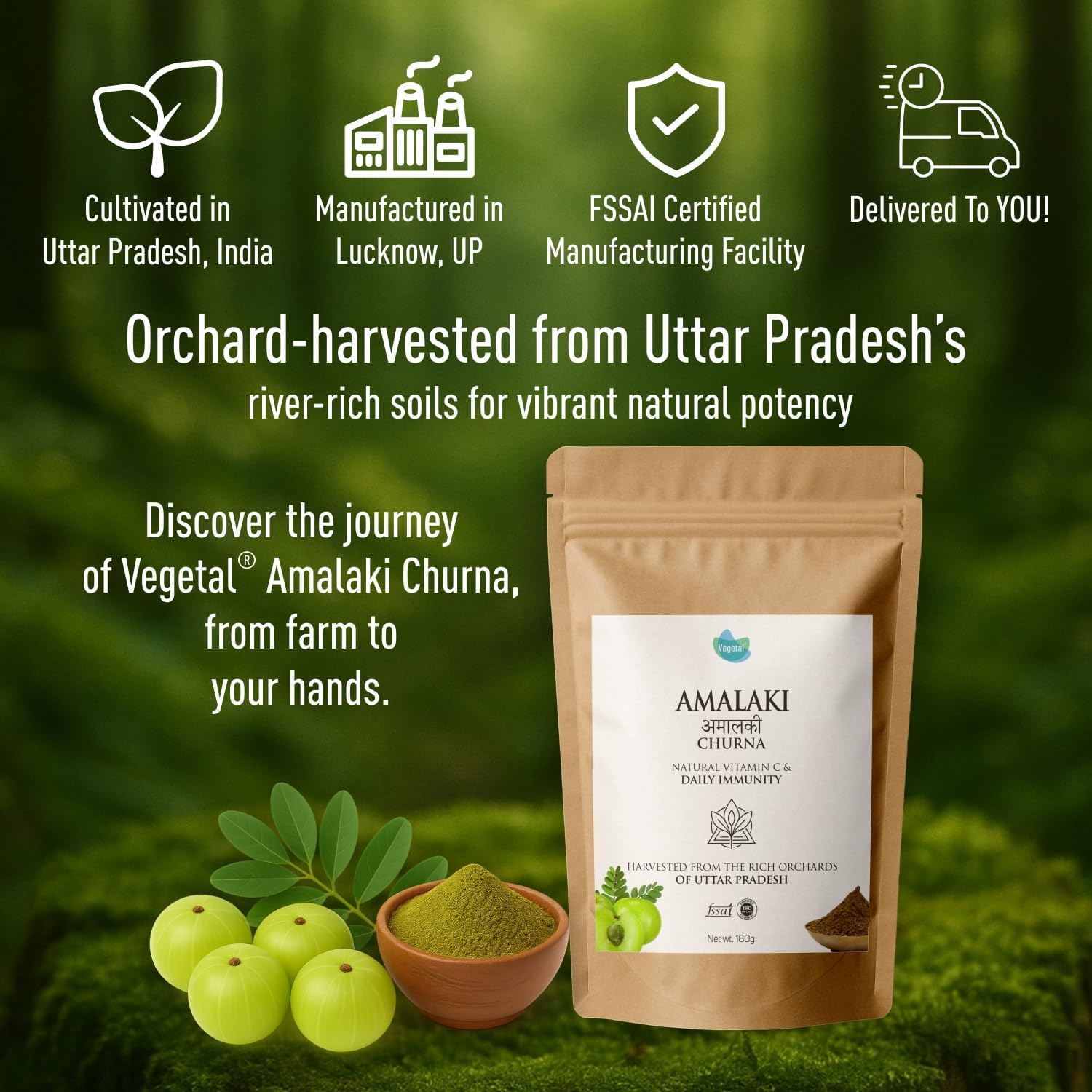 Vegetal Amalaki Churna 180g – view 9