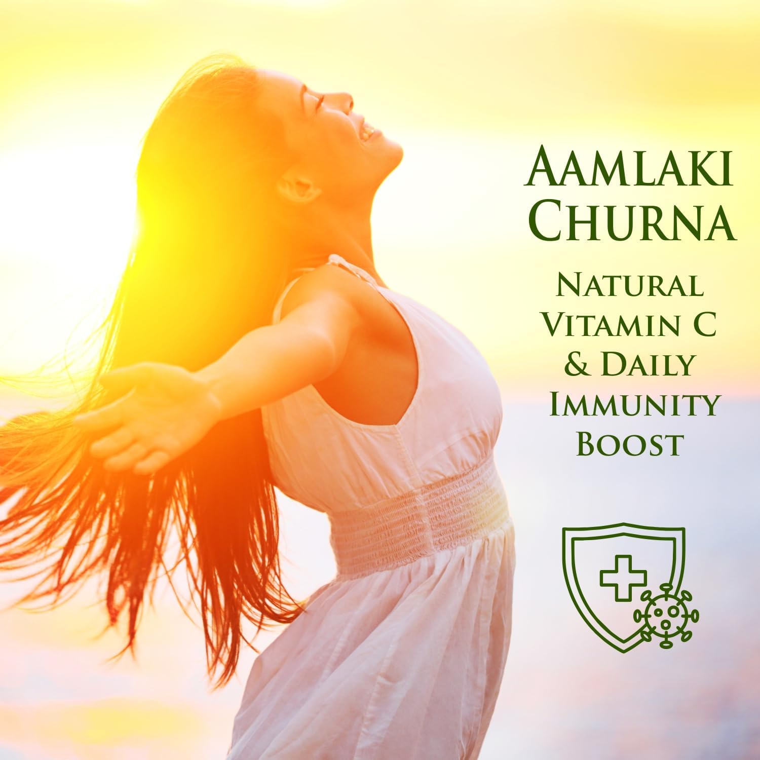 Vegetal Amalaki Churna 180g – view 3