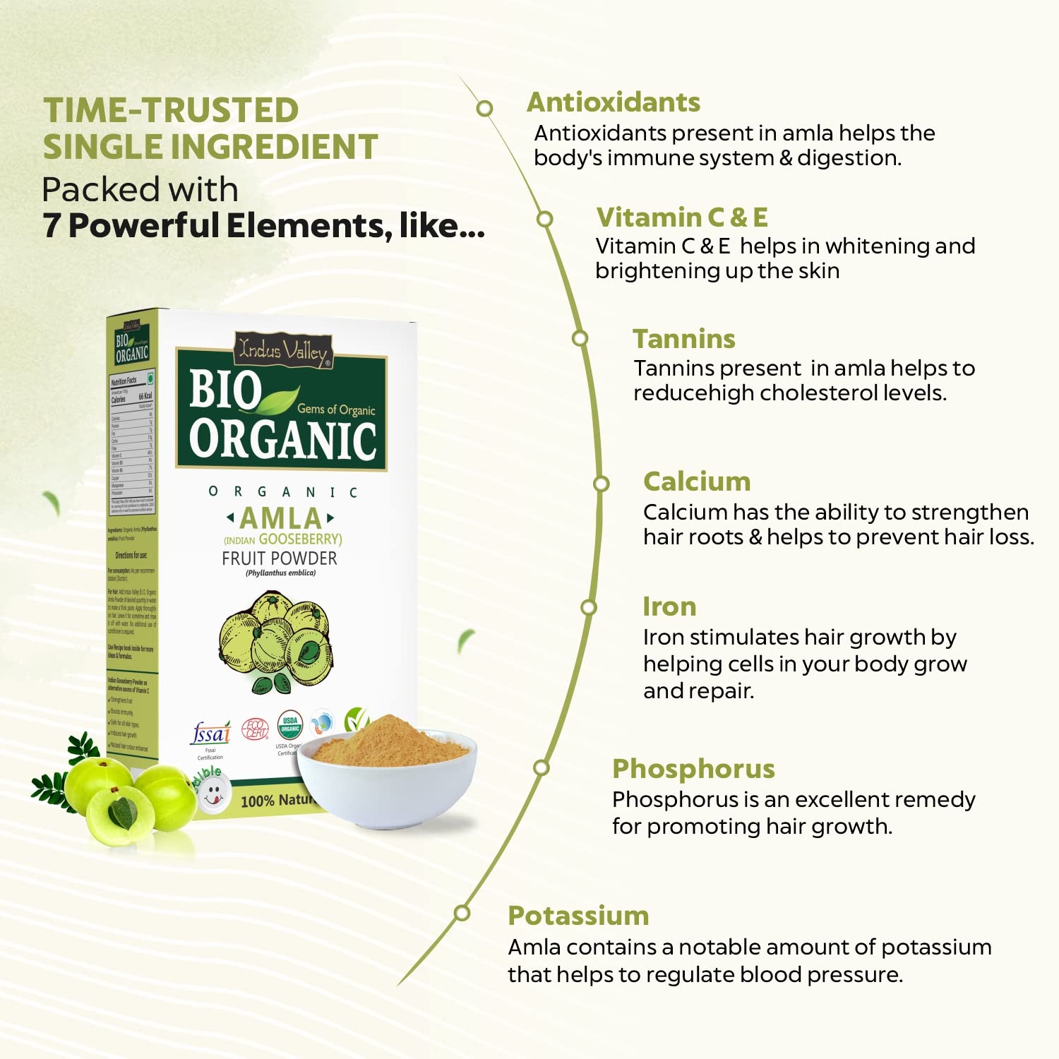INDUS VALLEY Bio Organic 100% Natural Amla (Indian Gooseberry) Fruit Powder for Hair Growth, Skin Care, Drinking & Eating, Rich in Antioxidants – 100g – view 3