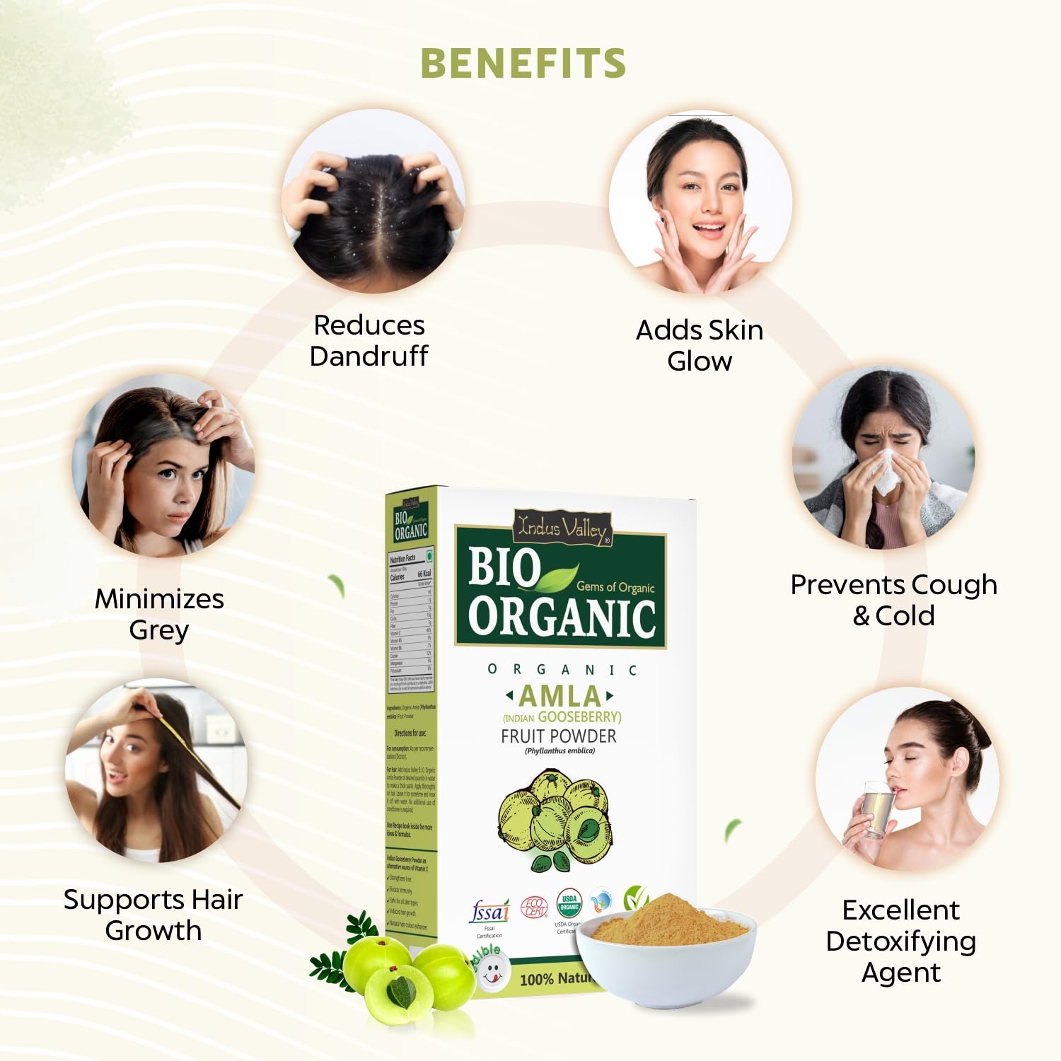 INDUS VALLEY Bio Organic 100% Natural Amla (Indian Gooseberry) Fruit Powder for Hair Growth, Skin Care, Drinking & Eating, Rich in Antioxidants – 100g – view 2