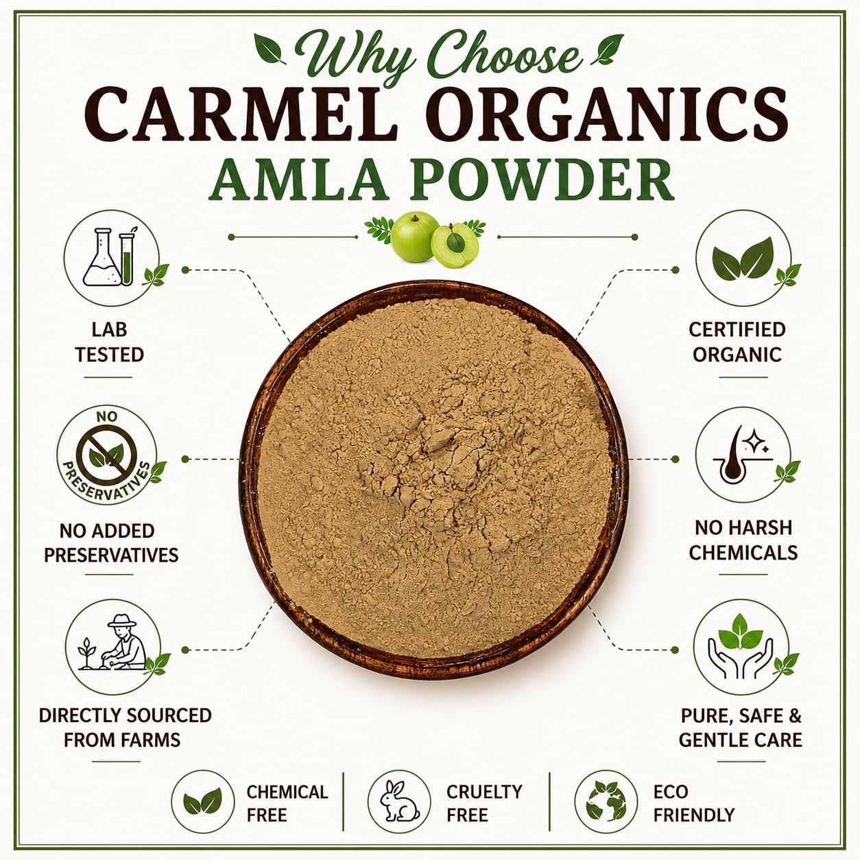 CARMEL ORGANICS Amla Fruit Powder 340 Grams – view 4