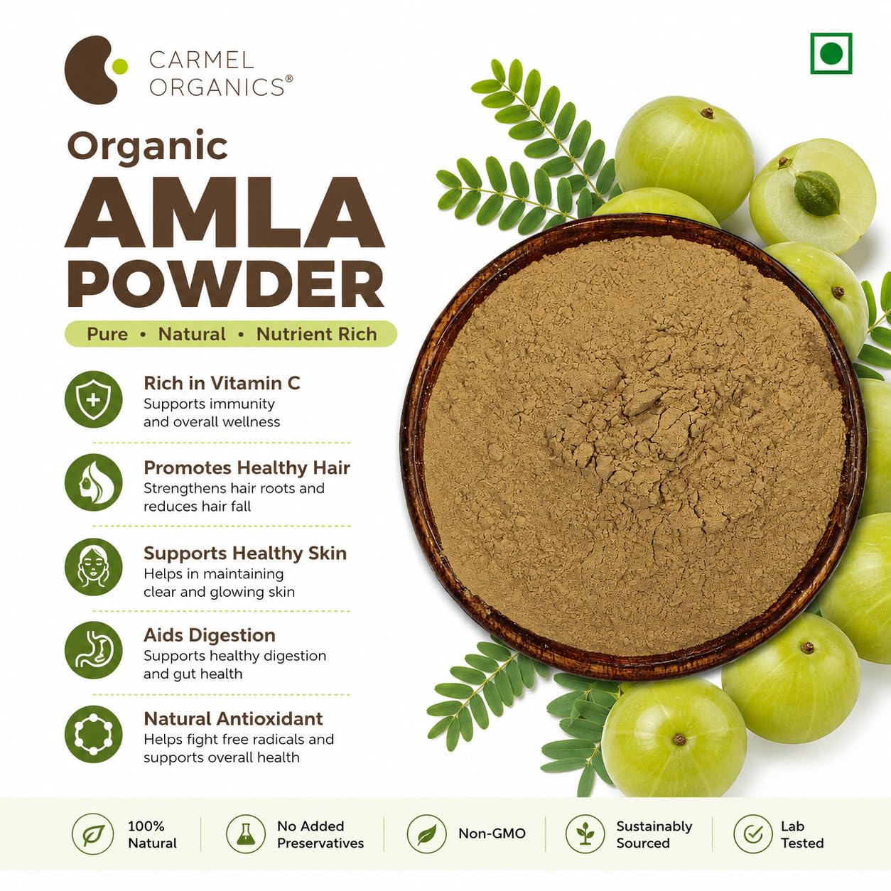 CARMEL ORGANICS Amla Fruit Powder 340 Grams – view 6