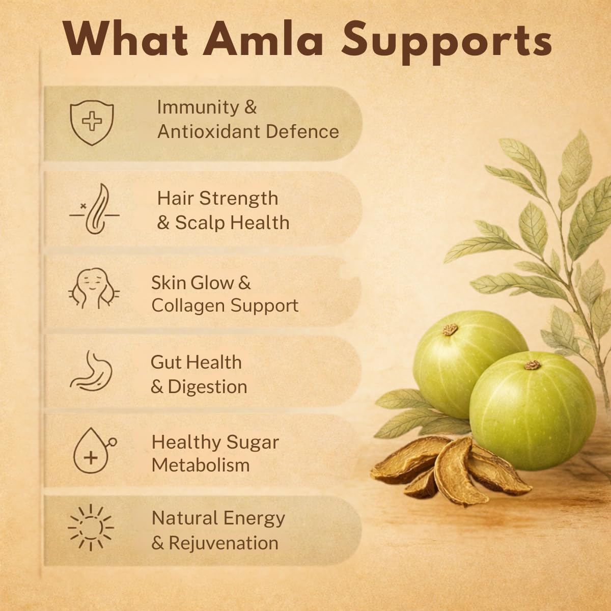 Earthen Story Certified Organic Amla Powder (200g) – view 4