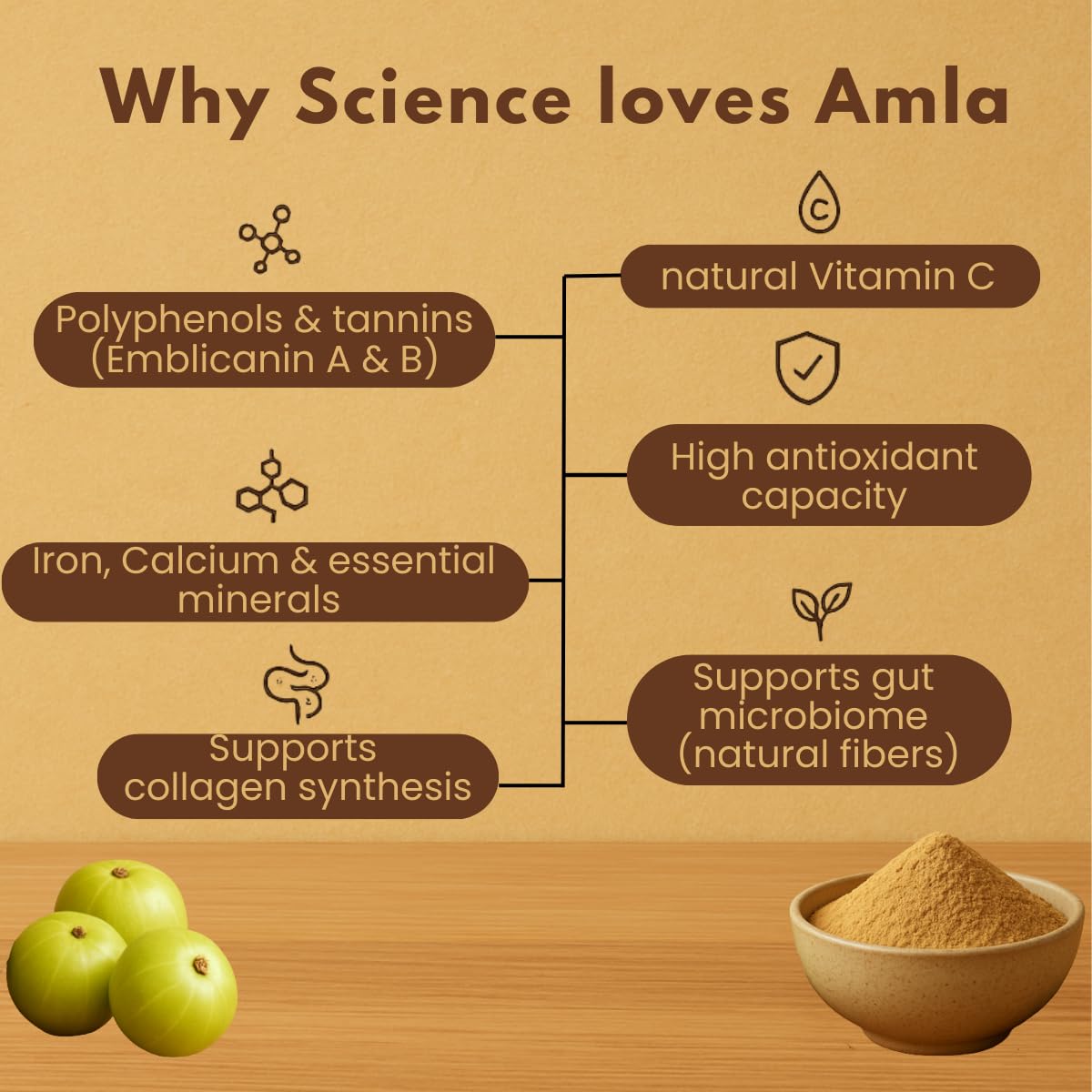 Earthen Story Certified Organic Amla Powder (200g) – view 5