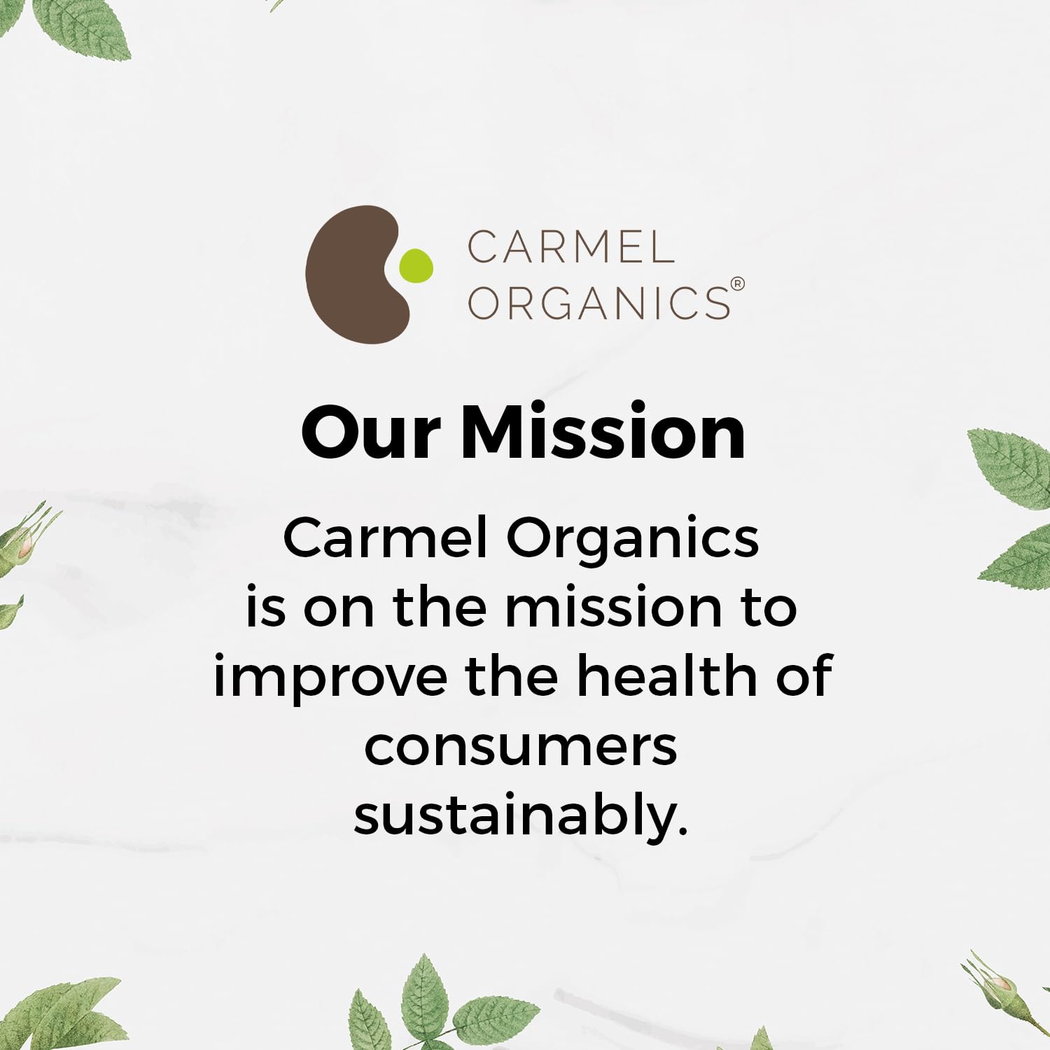 Carmel Organics Lemongrass Whole 100 Gram – view 8