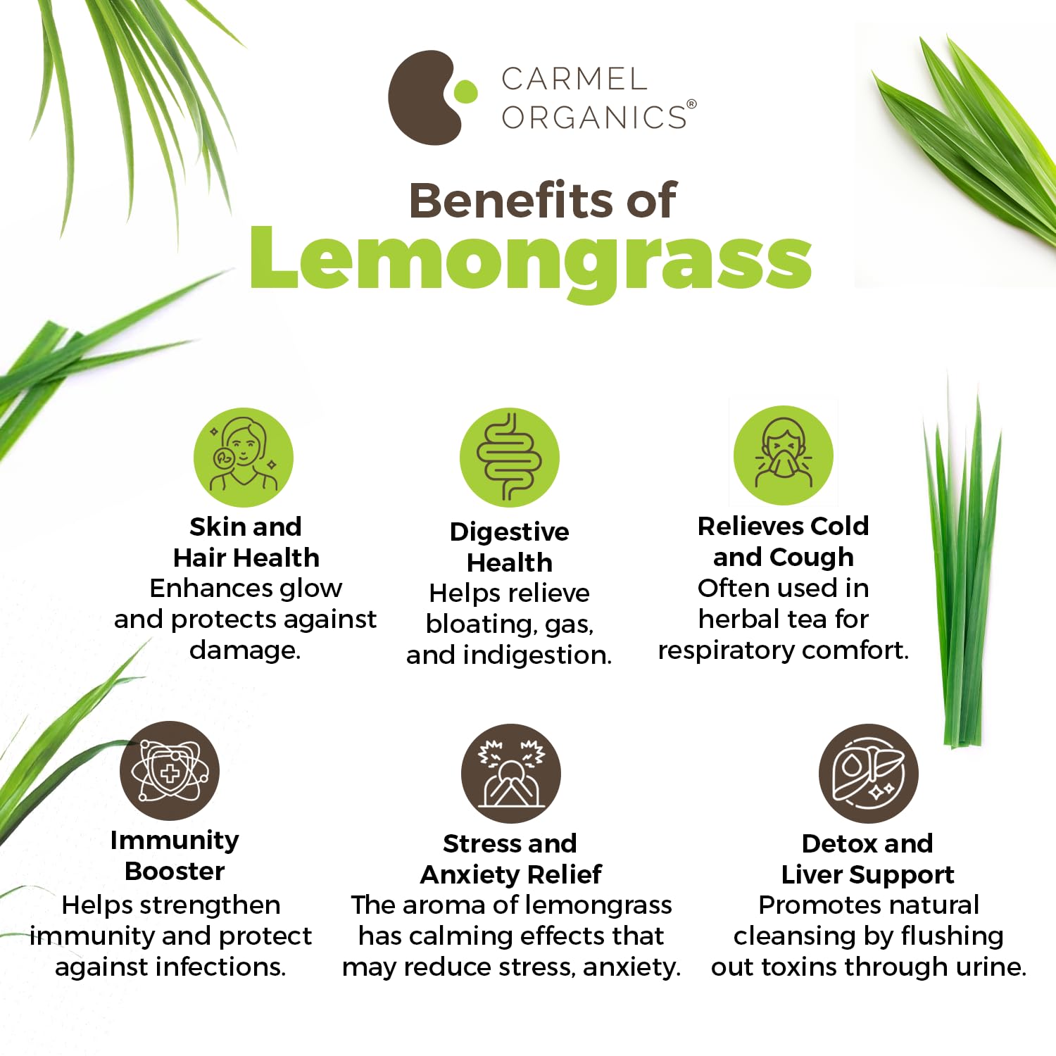 Carmel Organics Lemongrass Whole 100 Gram – view 7