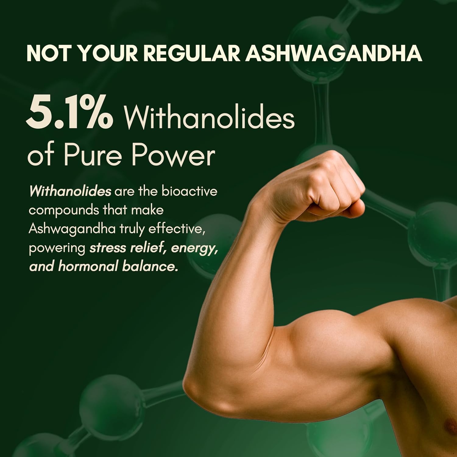 Rasayanam Ashwagandha KSM-66 Capsules, 60 Count – view 3