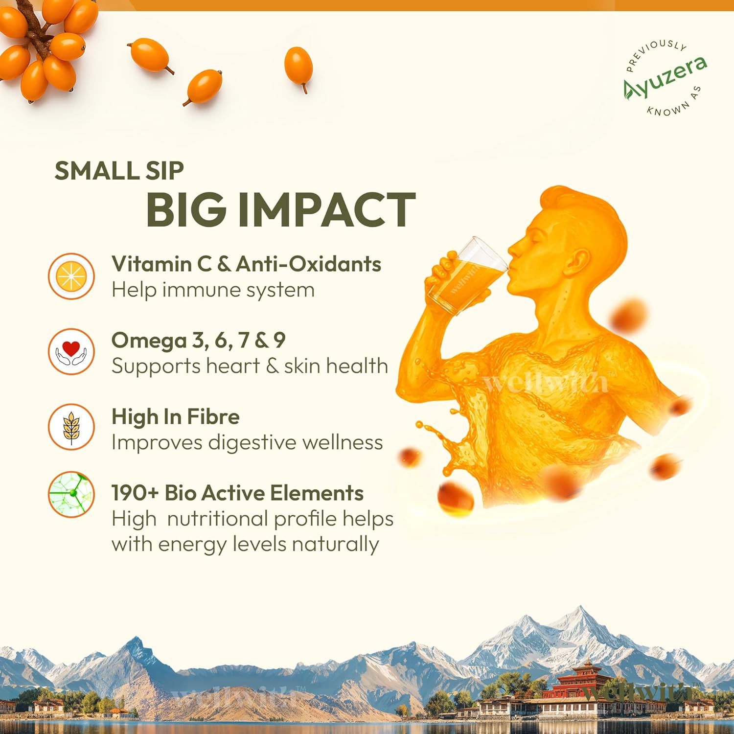 Ayuzera Himalayan Sea Buckthorn Pulp Concentrate 300 ml – view 10