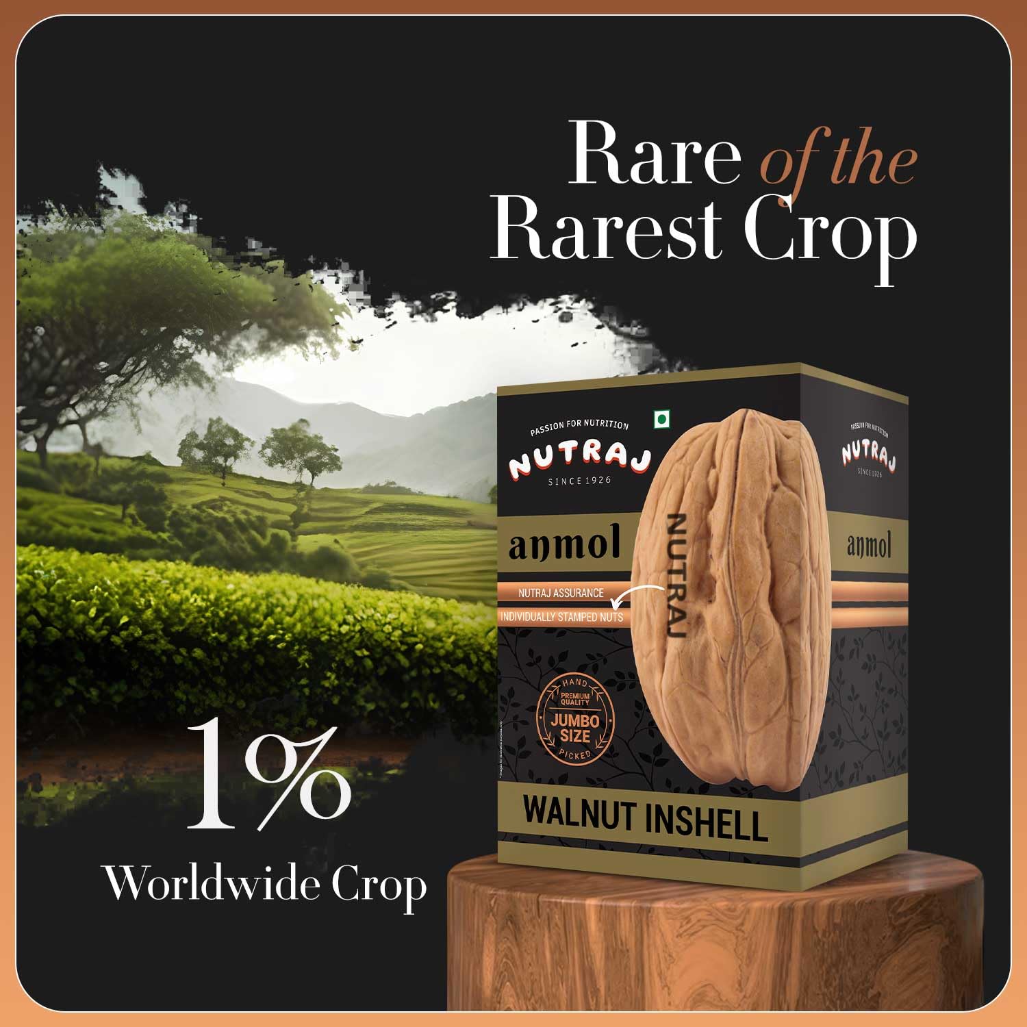 Nutraj Anmol Walnuts Inshell 1 kg – view 4