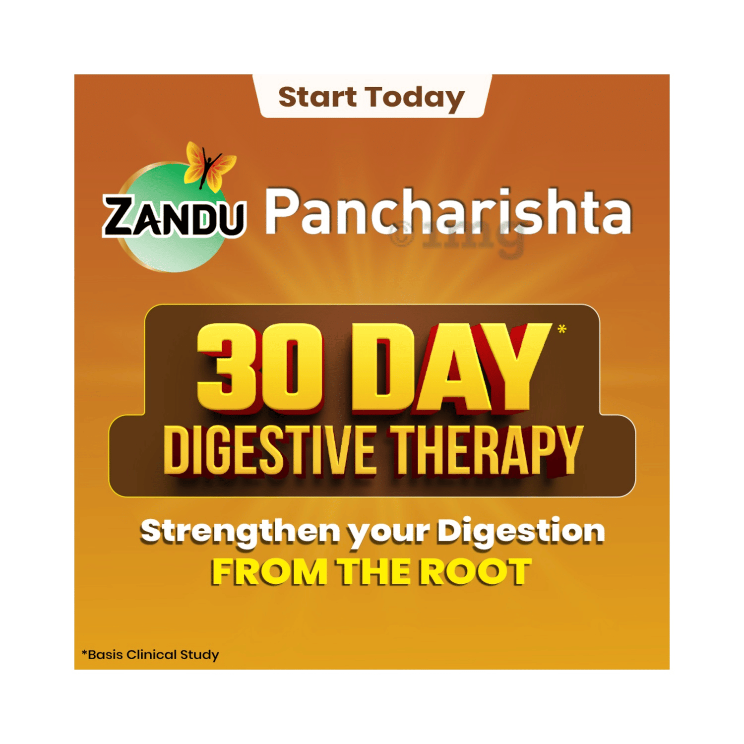 Zandu Pancharishta Ayurvedic 200ml Digestive Tonic – view 4