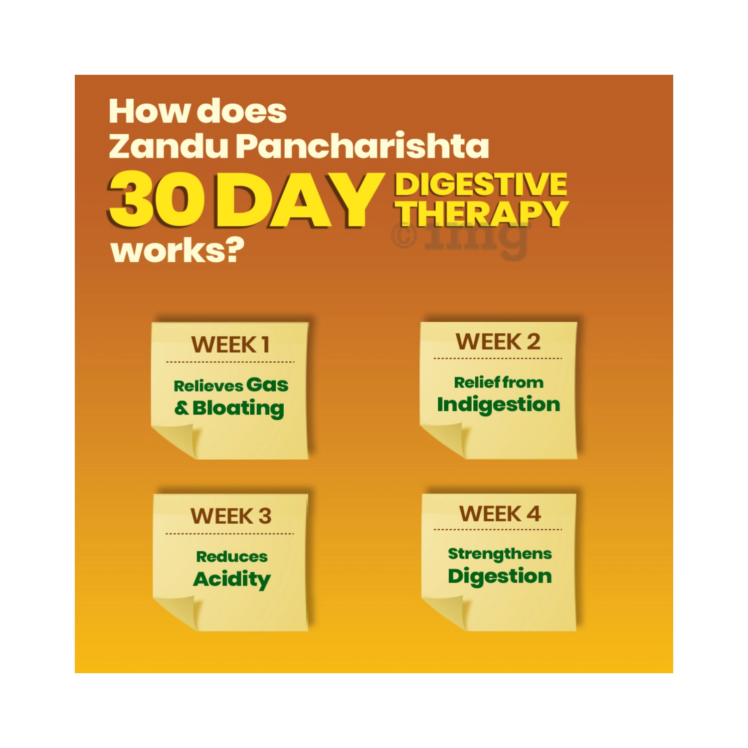Zandu Pancharishta Ayurvedic 200ml Digestive Tonic – view 5