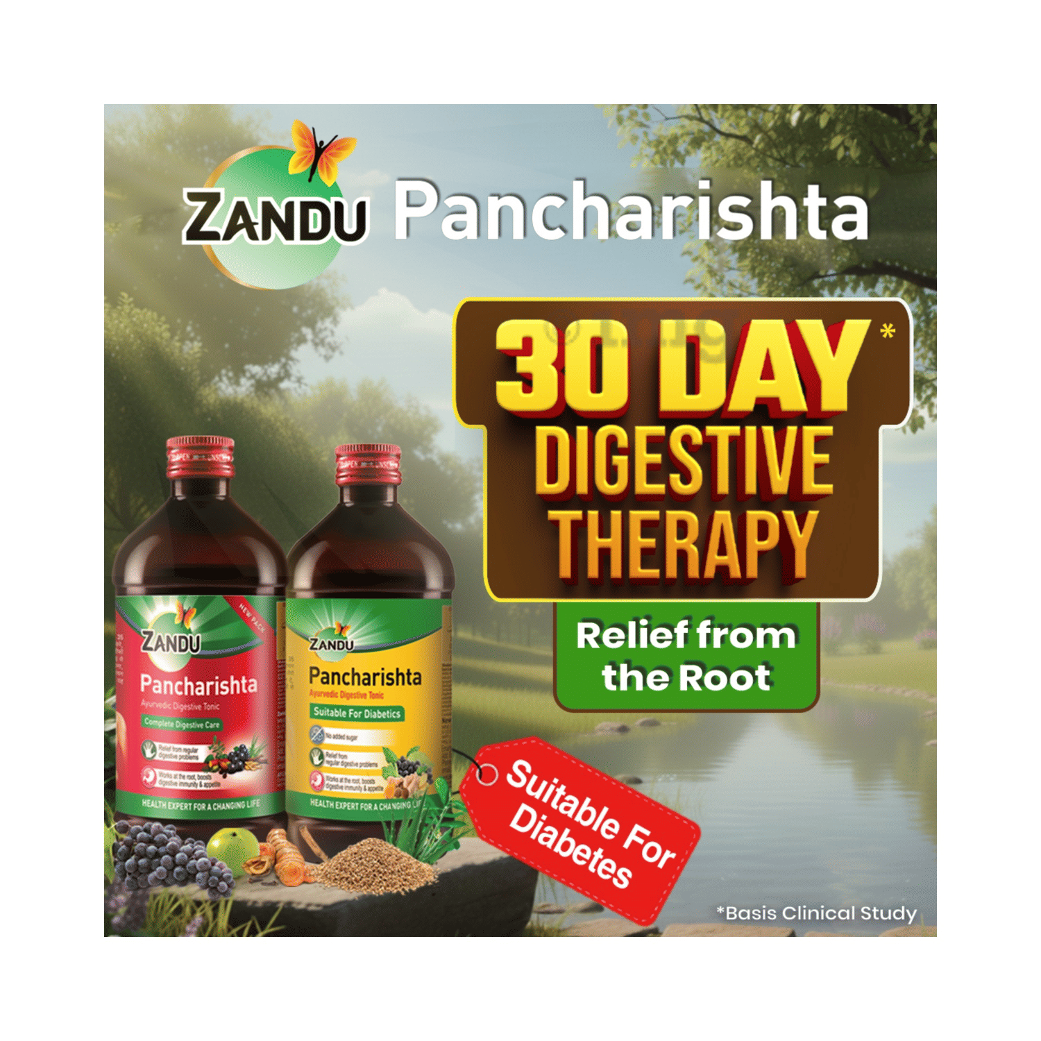 Zandu Pancharishta Ayurvedic 200ml Digestive Tonic – view 9